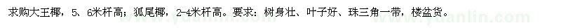 求購大王椰,狐尾椰