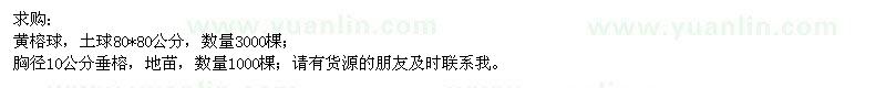 求購黃榕球,胸徑10公分垂榕