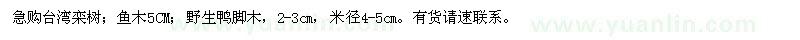 求購急臺(tái)灣欒樹,魚木,野生鴨腳木