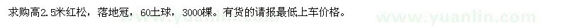 求購(gòu)高2.5米紅松