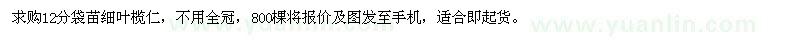 求購12分袋苗細(xì)葉欖仁