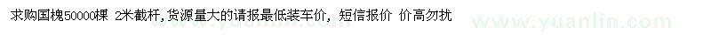 求購國槐50000棵
