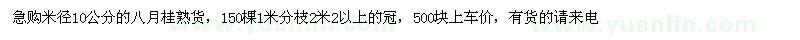 求購米徑10公分的八月桂