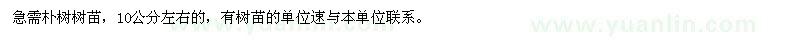 求購10公分左右的樸樹樹苗