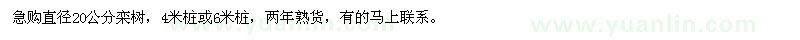 求購欒樹兩年熟貨