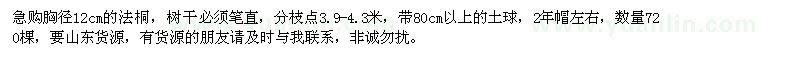 求購胸徑12cm的法桐