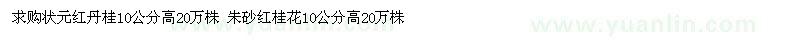 求購狀元紅丹桂10公分高、朱砂紅桂花10公分高