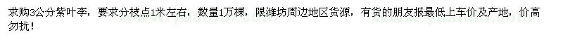 求購3公分紫葉李