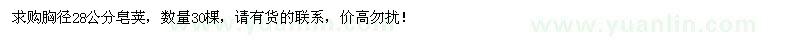 求購胸徑28公分皂莢