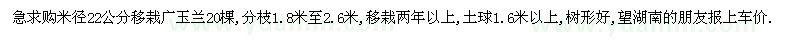 求購米徑22公分移栽廣玉蘭