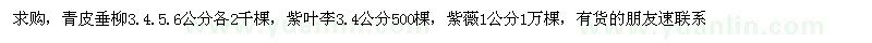 求購紫葉李、青皮垂柳、紫薇