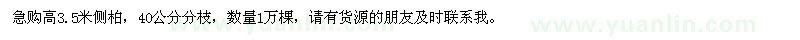 求購高3.5米側(cè)柏