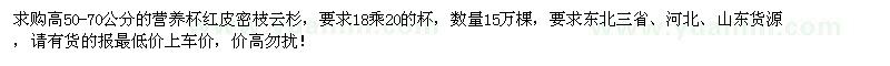 求購高50-70公分營養(yǎng)杯紅皮密枝云杉
