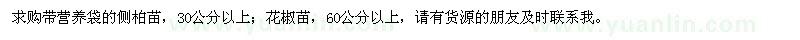 求購(gòu)帶營(yíng)養(yǎng)袋的側(cè)柏苗、花椒苗