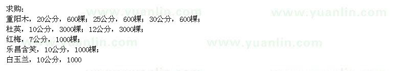 求購重陽木、白玉蘭、紅梅、杜英