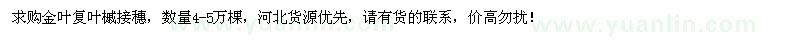 求購金葉復葉槭接穗