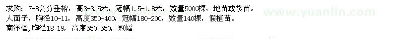 求購人面子、南洋楹