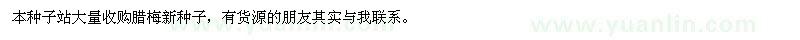 求購臘梅新種子