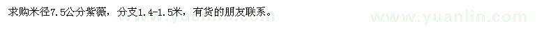 求購米徑7.5公分紫薇