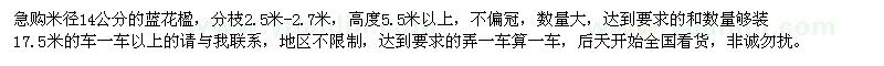 求購米徑14公分的藍花楹
