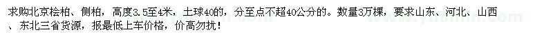 求購高3.5-4米北京檜柏、側(cè)柏