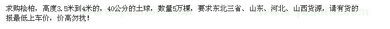求購高3.5-4米檜柏