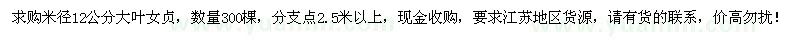 求購米徑12公分大葉女貞