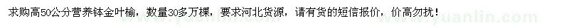 求購高50公分營養(yǎng)缽金葉榆