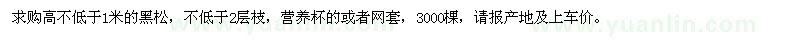 求購(gòu)高不低于1米的黑松