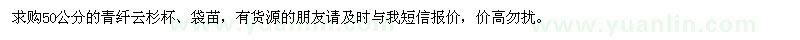 求購50公分的青纖云杉杯