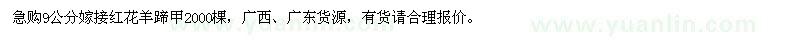 求購9公分嫁接紅花羊蹄甲