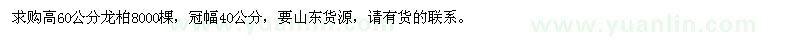求購高60公分龍柏