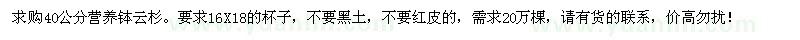 求購40公分營養(yǎng)缽云杉