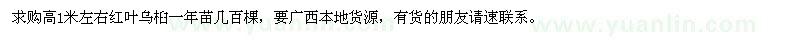 求購(gòu)高1米左右紅葉烏桕苗