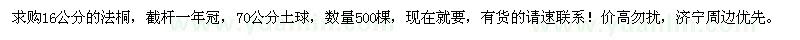 求購16公分的法桐
