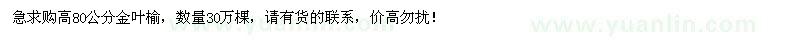 求購高80公分金葉榆