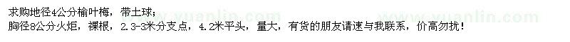 求購地徑4公分榆葉梅、胸徑8公分火炬