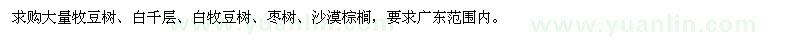 求購牧豆樹、白千層、白牧豆樹、棗樹、沙漠棕櫚