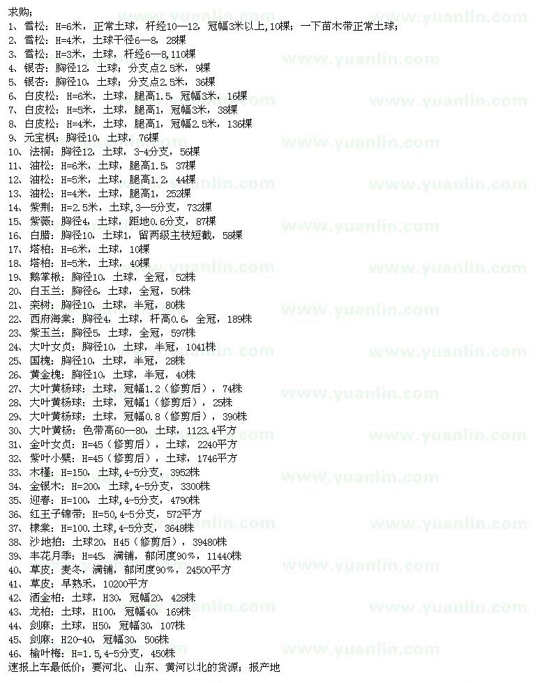 求購(gòu)雪松、銀杏、白皮松、油松、西府海棠、灑金柏、大葉黃楊球等