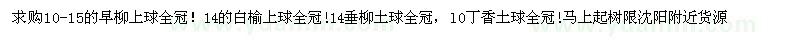 求購旱柳 白榆 垂柳 丁香