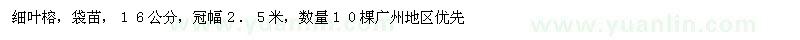 求購細(xì)葉榕