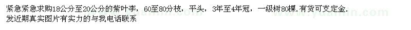 求購18-20公分的紫葉李