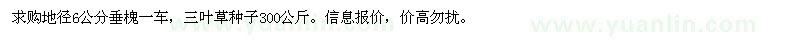 求購地徑6公分垂槐、三葉草種子