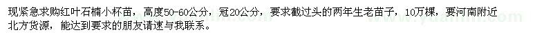 求購(gòu)高度50-60公分紅葉石楠小杯苗