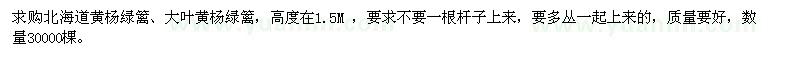求購北海道黃楊綠籬、大葉黃楊綠籬