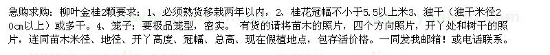求購金桂 桂花 