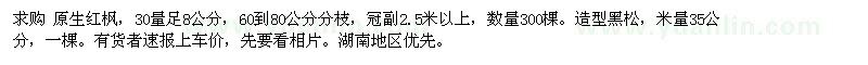 求購(gòu)紅楓 造型黑松 