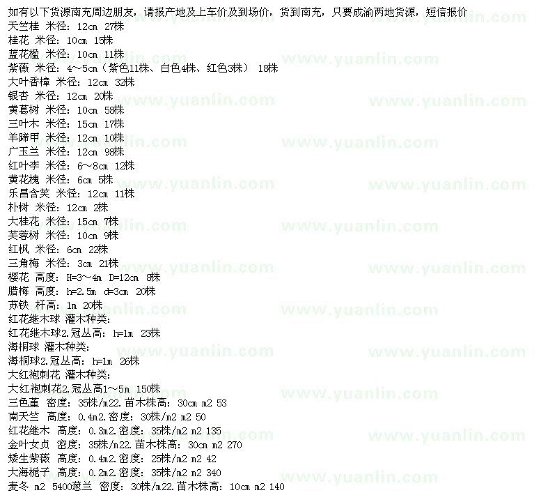 求購(gòu)天竺桂、桂花、藍(lán)花楹、紫薇、香樟、銀杏、黃葛樹(shù)、羊蹄甲、廣玉蘭 