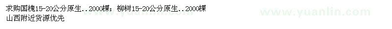 求購國槐、柳樹 