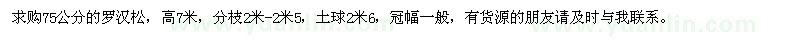 求購75公分的羅漢松